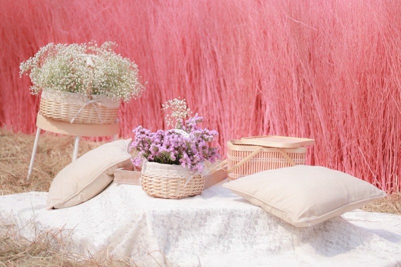 สายหวาน สายสวีท ต้องมา Flamingo’s Dream สวนสีชมพู